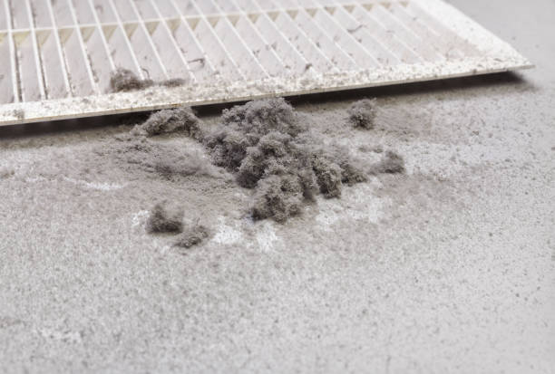 Best Residential Air Duct Cleaning  in The Plains, OH