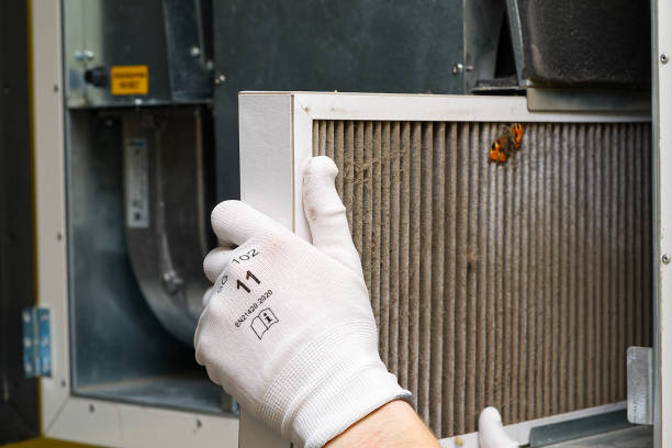 Best Dryer Vent Cleaning Services  in The Plains, OH